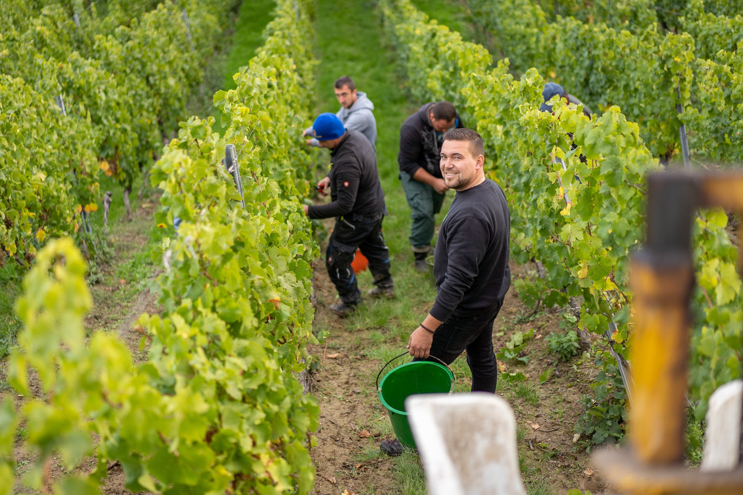 Daniel Mattern bei der Arbeit in der Lesezeit
