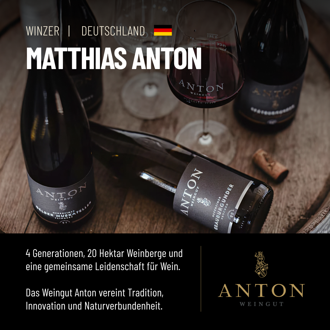 ROSÉ SPARKLING FREE: Wunderschöner prickelnder Rosé aus dem Hause Anton