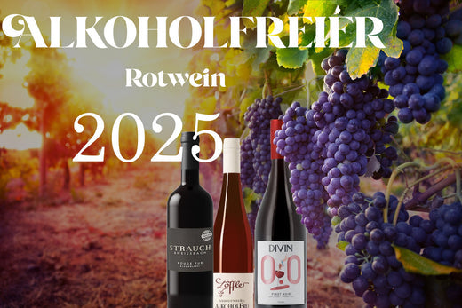 Alkoholfreier Rotwein: unsere Testsieger 2025