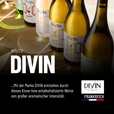 DIVIN VIGNERON PINOT NOIR