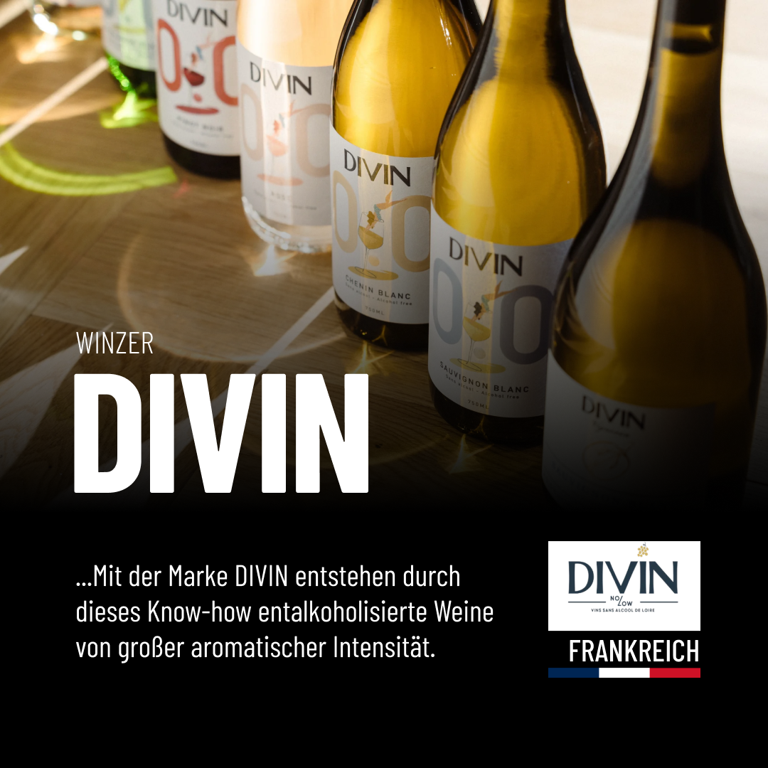 DIVIN VIGNERON PINOT NOIR