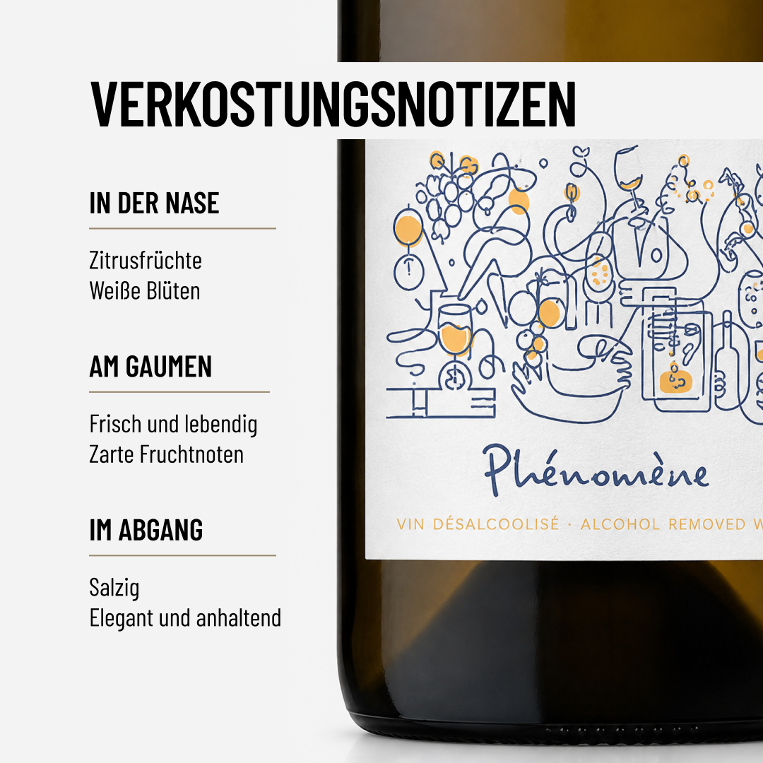 PHENOMENE: unsere Empfehlung zu Meeresfrüchten
